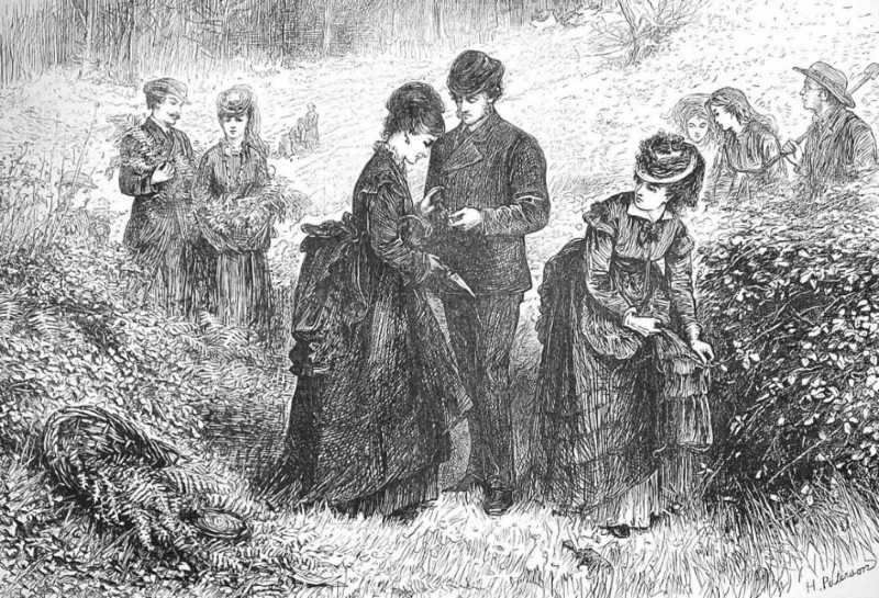 «Собиратели папоротника»,The Illustrated London News, июль 1871 года